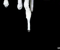 Photographie de MORT, COVA DEL (13 sur 13)
