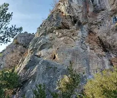 Fotografia de ESCLOP, FORAT DE L' (2 de 12)