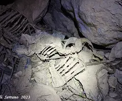Fotografía de GOSSOS, FORAT DELS (5 de 6)