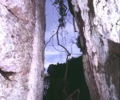 Fotografía de CABRAFIGA, COVA DE LA (2 de 2)