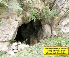 Photograph of VIDABONA, COVA D'EN (1 of 7)