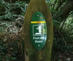 Fotografia de FONT DEL BASSI, BALMA DE LA (1 de 5)