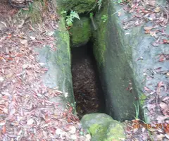 Fotografia de SANT MIQUEL, COVA DE (1 de 9)