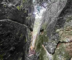 Photographie de RIU SET, ESQUERDA DEL (4 sur 8)