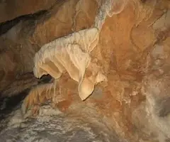 Photograph of DOMINGO GRAU, COVA D'EN (4 of 7)