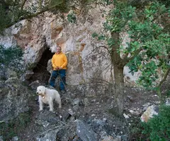 Photographie de PICONS, COVA DELS (1 sur 4)