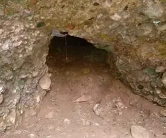 Fotografía de GRALLER, ESPLUGA DEL (4 de 5)