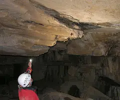 Photograph of TEIXIDORS, BORA DELS (6 of 8)