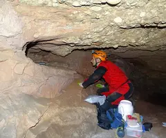 Fotografía de CARNER, COVES D'EN (4 de 7)