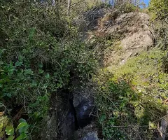Fotografia de SERRA DEL MAS, COVA SM-16 DE LA (1 de 9)
