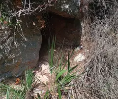 Fotografía de FONDO, COVA DEL (2 de 2)
