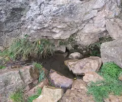 Photograph of CURRO-FONT DELS ADELLS, COVA DEL (2 of 4)