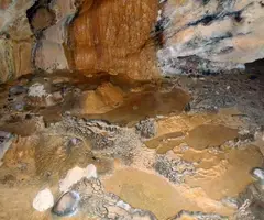 Fotografía de CABRERA, COVA (3 de 4)