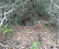Fotografia de COMA D'EN BEPO, FORAT DE LA (1 de 3)