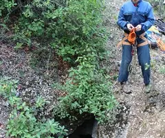 Fotografia de CAMPANES, COVA DE LES (1 de 5)