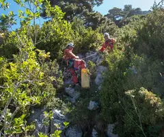 Fotografia de CERNERES, AVENCS PETITS DE (1 de 7)