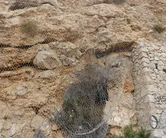 Fotografia de PUNTA GROSSA, COVA DE LA (3 de 7)
