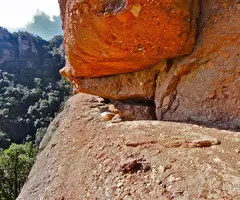 Fotografía de ROJA, COVA (1 de 2)