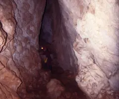 Fotografia de PAÚS,  QUERANT PETIT DE (1 de 3)