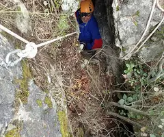 Fotografía de MAS DE LES FONTS, ESQUERDA Nº 5 DEL (10 de 11)