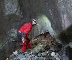 Fotografia de CERNERES, AVENCS PETITS DE (4 de 7)