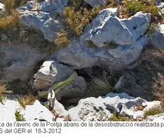 Fotografía de POLITJA, AVENC DE LA (3 de 3)