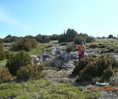 Fotografía de CORONA, GRALLERA DE (1 de 7)