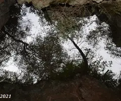 Photographie de COLL VERDEGUER, AVENCÓ DE (6 sur 6)