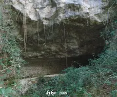 Fotografia de MOSQUERA, COVA DE LA (1 de 4)