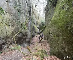 Fotografia de BARÓ, COVA DEL (1 de 2)