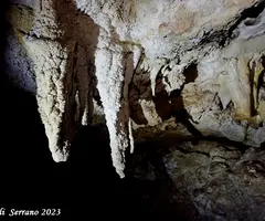 Photographie de SENSE NOM, COVA (5 sur 8)