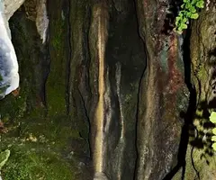 Photographie de MOLÍ BERNAT, COVA DEL (5 sur 5)