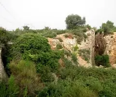Photographie de PAPIOL, ESCLETXES DE (1 sur 7)