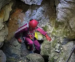 Photographie de PARDINA, GRALLER Nº1 DE LA (4 sur 5)