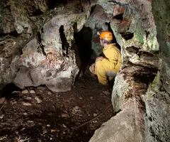 Fotografia de TOIXÓ, COVA DEL (2 de 5)