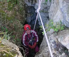 Photographie de PARDINA, GRALLER Nº1 DE LA (3 sur 5)