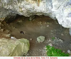 Fotografia de MOLA, COVA DE LA (2 de 4)