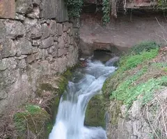 Fotografía de MENTIROSA DE MONISTROL (1 de 1)