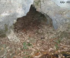 Fotografia de PG-1, COVA (1 de 1)