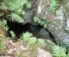 Photographie de OSSOS NORD, CAU DELS (1 sur 3)