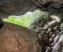 Photograph of QUATRE GATS, COVA DELS (5 of 5)