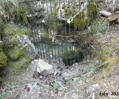 Fotografia de BRUGAL, COVA DEL (2 de 12)