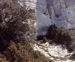 Fotografia de MONTARDIT, COVA DE (2 de 5)