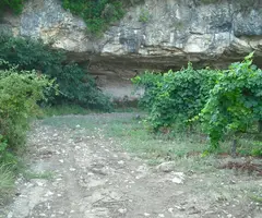Fotografia de LLARGA, COVA (3 de 3)