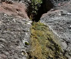 Fotografía de SOT DE LA TEULA, FORAT DEL (2 de 3)