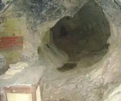 Fotografia de FUSTANYÀ, TUT DE (2 de 2)