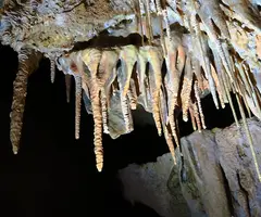 Fotografia de CAN RIGOL Nº 2, COVA DE (9 de 11)