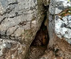 Fotografia de CAMÍ NOU, FORAT DEL (2 de 4)