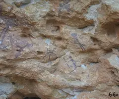 Photograph of ERMITES DE LA PIETAT, ABRICS D' (9 of 15)