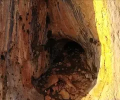 Fotografía de SANAT, COVA DEL (3 de 7)